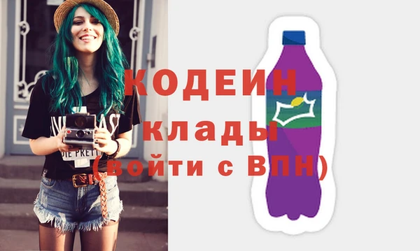индика Магас