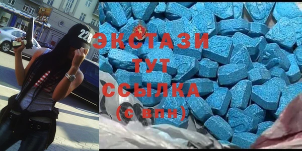 индика Магас