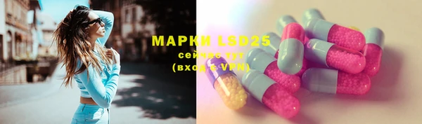 ПСИЛОЦИБИНОВЫЕ ГРИБЫ Семилуки