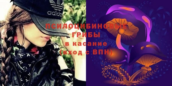 индика Магас