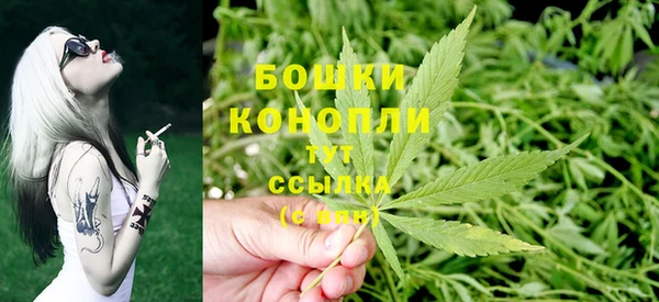 индика Магас