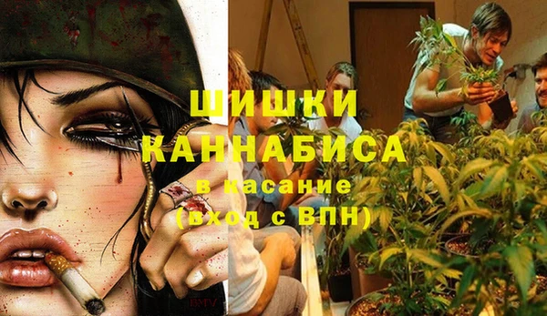 индика Магас