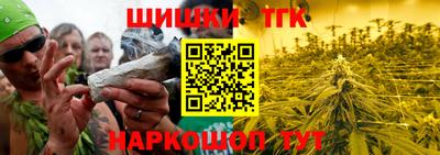 a pvp Новодвинск