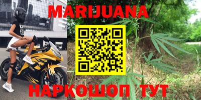 Альфа ПВП Можга