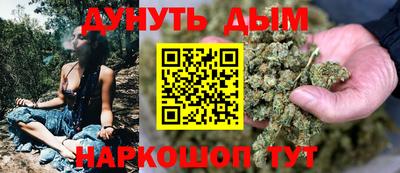Альфа ПВП Можга