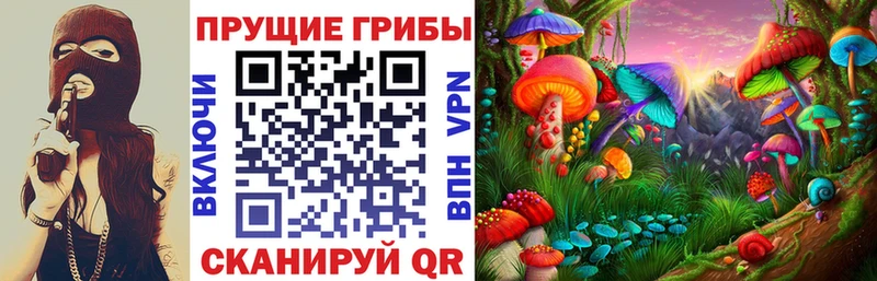 даркнет сайт  Элиста  Псилоцибиновые грибы прущие грибы 