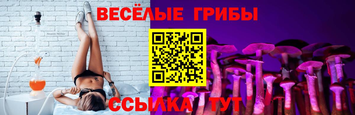 Псилоцибиновые грибы ЛСД  Псилоцибиновые грибы Cubensis  Элиста  Вход с VPN 