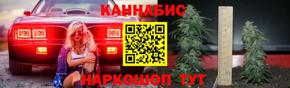Конопля AK-47  Шишки марихуана планчик  Бошки Шишки индика  Вход с VPN  Элиста 